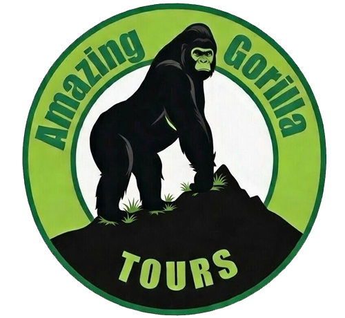 amazing-dafaris-logo